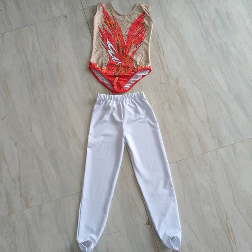 Профессиональные соревновательные соревновательные соревнования по аэробике аэробики