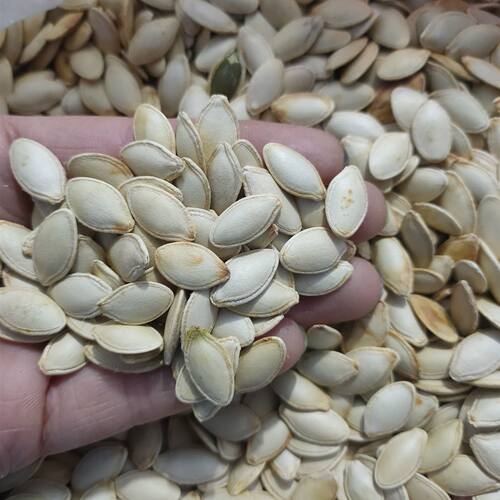 零食物语原味椒盐南瓜子新货炒熟坚果炒货休闲办公零食南瓜籽-图3