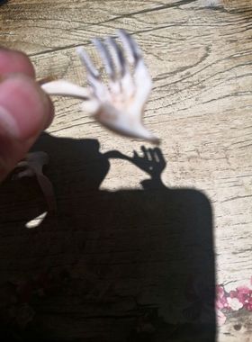 大鱼牙吊坠情侣一组真标本