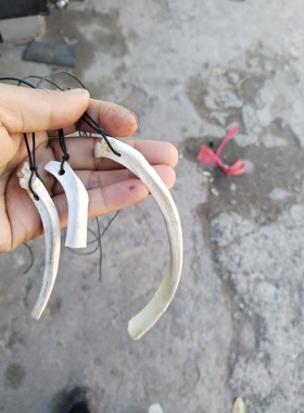 DIY项链仿狼牙项链骨雕牙雕挂件小饰品羊脊椎骨胸骨制作千奇百怪