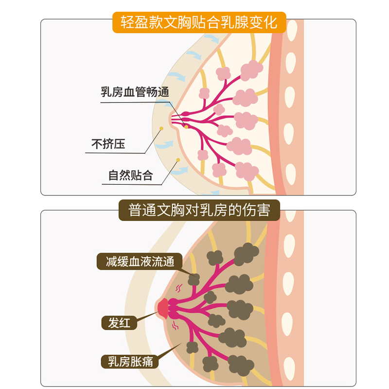 美德乐孕妇女喂奶聚拢怀孕期文胸 美德乐立德立康哺乳文胸