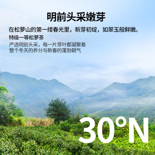 【新茶尝鲜】明前头采2026王光熙松萝茶特级一等炒青绿茶50g - 图1