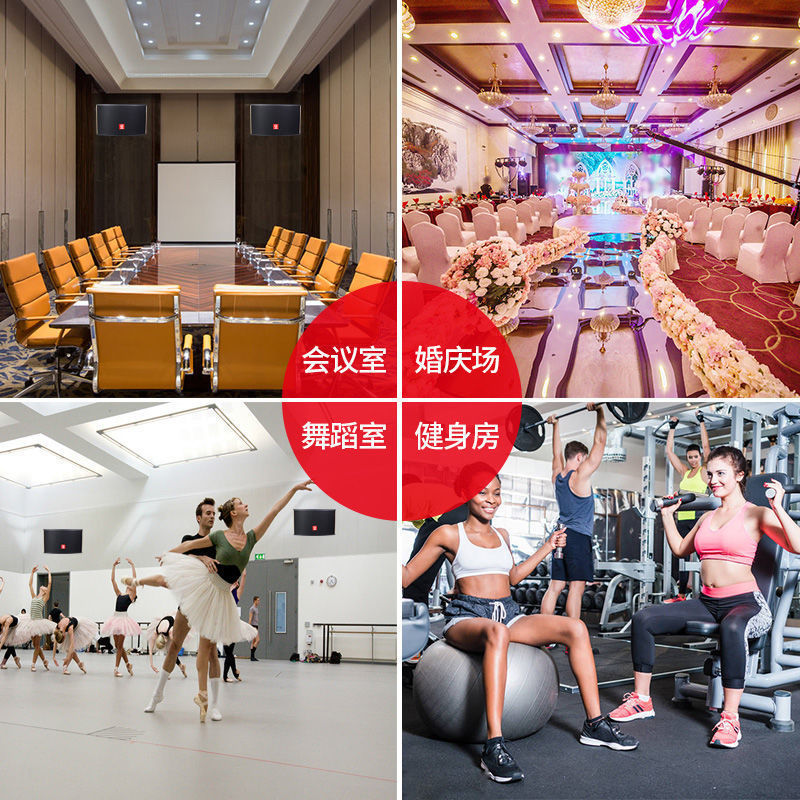 Xianke high-power professional home KTV card package speaker