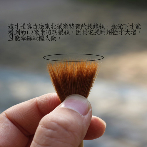 【魏晋风度】莱州文宝山制精颖雪尾纯狼，笔尖细腻锐利灵敏擅二王 - 图2