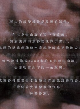 liliann雪山玫瑰浪漫香薰蜡烛