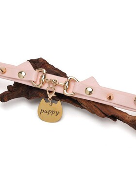 Aura Collar轻奢真皮项圈choker牵引绳puppy芭比情侣情趣项圈颈圈