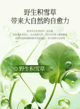 爽肤水纯露舒缓豆豆豆印