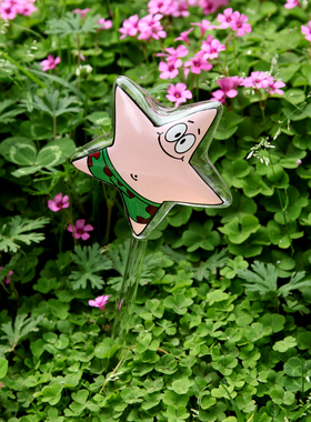 恒远玻璃创意 花式懒人创意渗水 浇花器用绿植盆栽自动浇花器