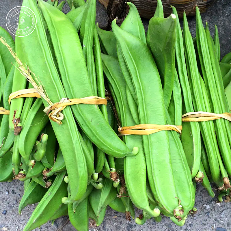 巨型豆角种子种籽大刀豆苗大粒特长红白刀豆四季盆栽蔬菜种苗种孑,淘宝优惠券,粉丝福利购,淘宝优惠卷