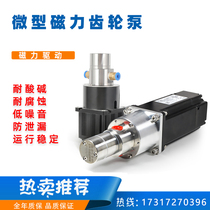 Acid-base chemical solvent micro gear metering pump magnetic pump gear hydraulic oil pump high viscometer mass pump