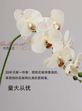 高端保湿仿真蝴蝶兰客厅桌面摆件