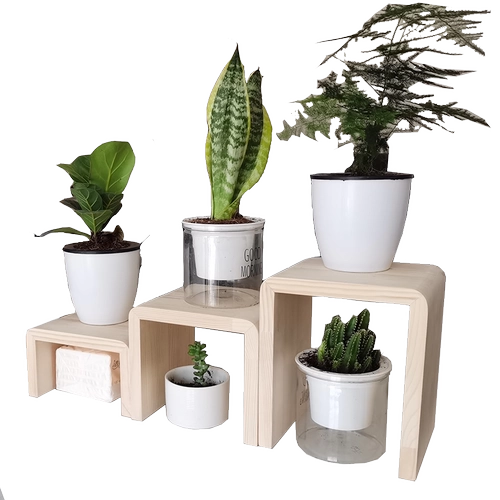 Сплошная рама цветочных рамков