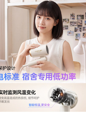 【家用吹风机】负离子养护二合一