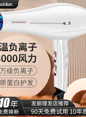 德系理发店电吹风机家用3000冷热