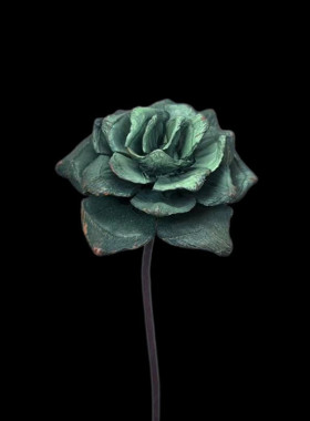 油画系列木玫瑰干花花束