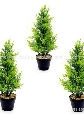 仿真绿植盆栽 人造假花 仿真圣诞树松柏树叶盆景绿化装饰布景摆件