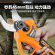 Special lithium-ion garden scissors for pruning branches
