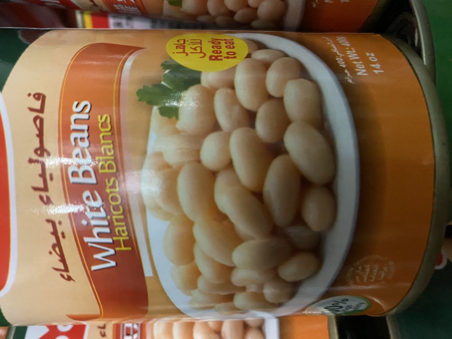 DOORA white beans Canned白芸豆‏فاصوليابيضاء-图1