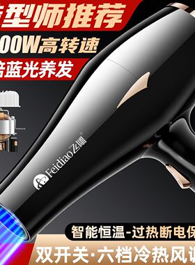 【飞雕】发廊电吹风家用速干理发店专用吹风机护发负离子大功率