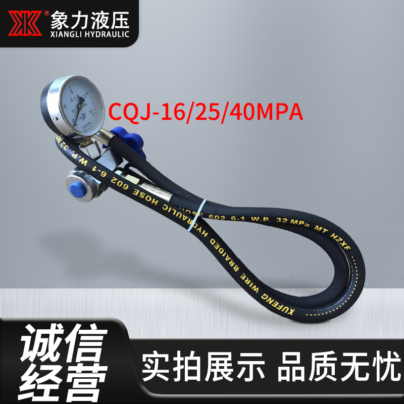 现货液压蓄能器CQJ-25剪板机充气工具 剪板机充氮工具 充气阀25Mp - 图1