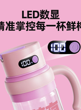 罗娅便携式玻璃榨汁机果汁榨汁杯