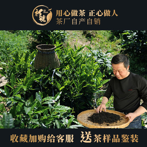 2026年新茶安徽祁门红茶新茶祁红礼盒装250g特级祁红正宗浓香型茶 - 图2