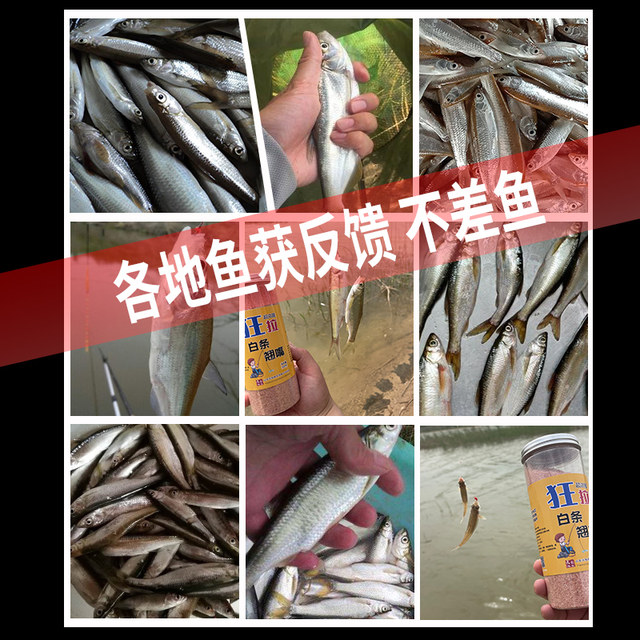 Xiaobaitiao bait meal stick cocked mouth fish bait factory direct sales