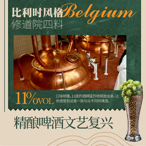 比利时进口罗斯福6号8号10号罗十修道院精酿啤酒330ml*6瓶装组合 - 图1