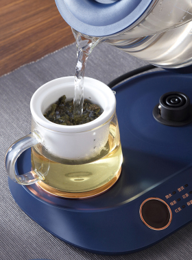 西屋多功能养生壶恒温保温煮茶