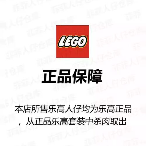 LEGO乐高 复仇者联盟人仔 瓦坎达奥克耶sh870正品特价76247 76266 - 图1