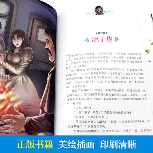 图书批发 国际大奖儿童文学 吹号手的诺言 正版书 美绘典藏版7-9-10-12岁读物三四五六年级阅读小学生课外书籍 - 图1