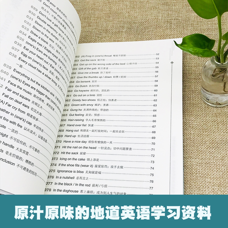 经典英语学习书每天读点地道英语俚语初高中大学书虫系列英语阅读英文书籍中英双语读物版英汉对照轻松英语名作欣赏小学英语原版 - 图0