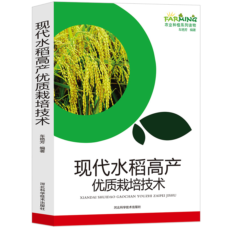 现代水稻高产优质栽培技术农业种植系列读物农业种植技术大全书水稻种植水稻种植基础知识育秧田间管理生产选育病虫害、杂草防治 - 图3