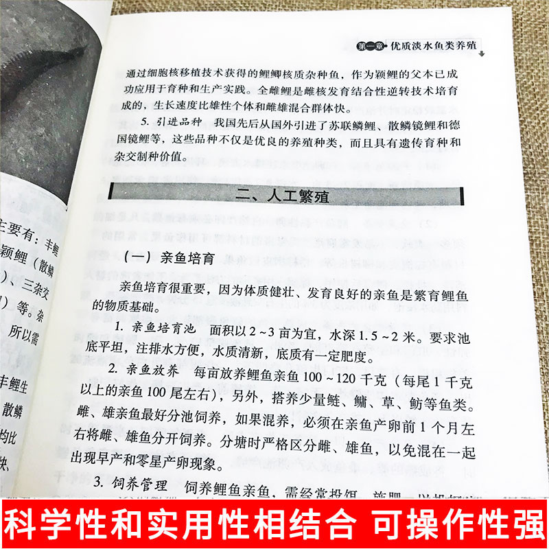 正版高效池塘养鱼技术鱼病鉴别快速诊断防治疗全书科学生态养鱼淡水鱼类水产养殖技术书籍大全一本通池塘建设亲鱼繁育饲养管理教程-图0