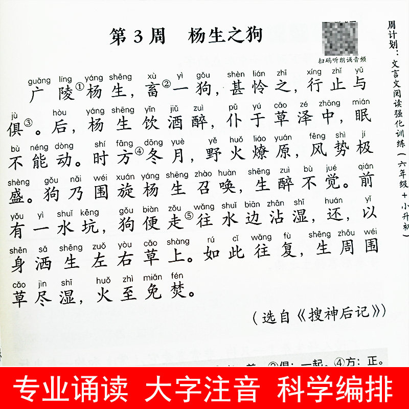 赠朗诵音频】周计划小学文言文阅读强化训练三四五六3456年级小学语文知识大全古诗词*背上下册同步训练习册全套小古文诵读解析