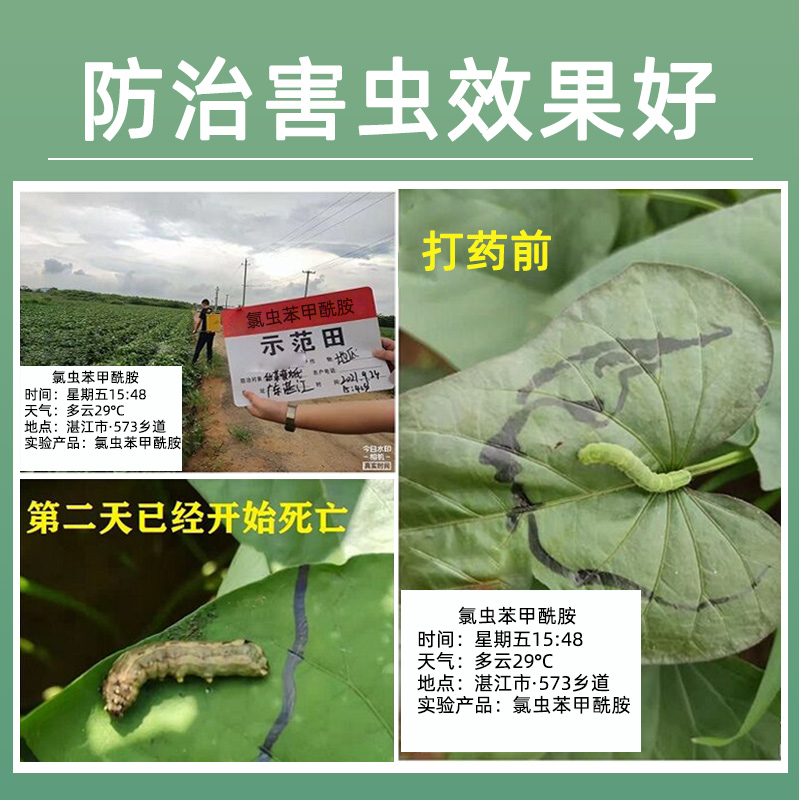 盈辉氯虫苯甲酰胺水稻稻纵卷叶螟害虫杀虫杀卵康宽同款农药杀虫剂 - 图2