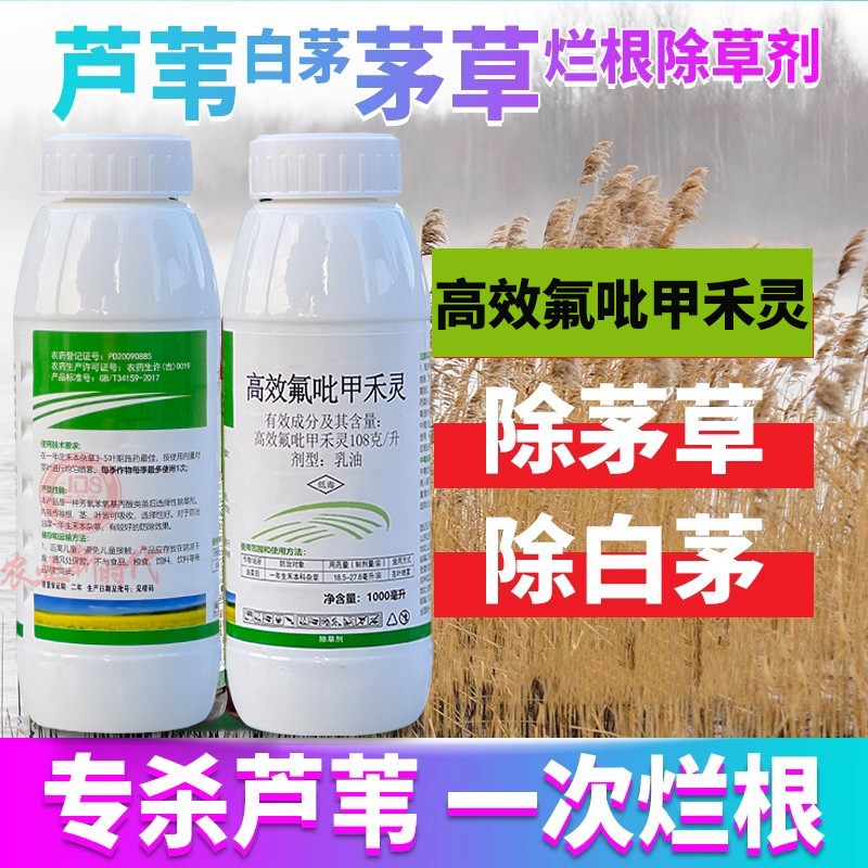 高效氟吡甲禾灵抗性牛筋草芦苇茅草牛筋草油菜盖草能农药除草剂 - 图0