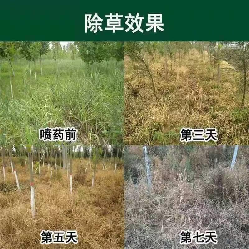 上海悦联美达95%草甘膦铵盐86%草甘磷粉剂果园荒地杂草农药除草剂 - 图2