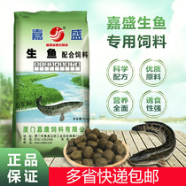 Jiaxin Raw Fish Feed Black Fish White Mullet Mullet Duckbilled Fish Moon Snag Fish Fry Special Floating Water Grain for Seven Stars