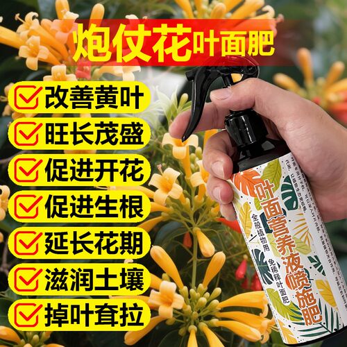 炮仗花专用肥料爬藤植物营养液开花小苗旺长发芽长藤长新叶面肥料 - 图0