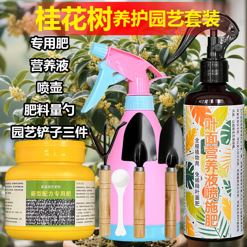 桂花树专用肥料四季桂庭院地栽盆栽盆景老桩大树苗营养液土培肥料 - 图2