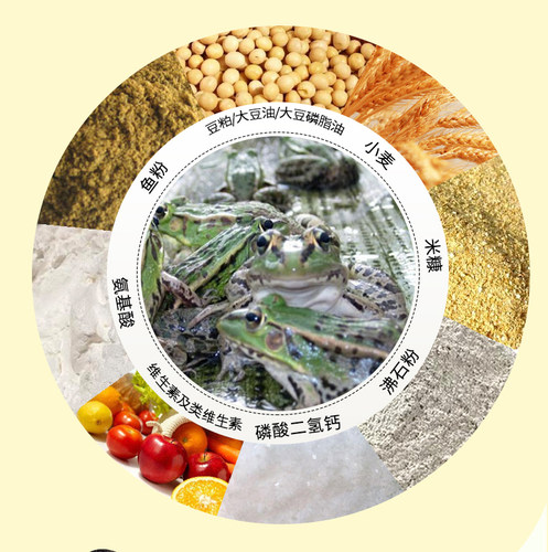 通威蝌蚪饲料/美国青蛙/青蛙/虎纹石蛙膨化配合饲料/优质水产饲料 - 图2