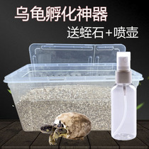 Turtle Hatching Box South Stone Egg Vermiculite Hatching Basin Incubators Water Turtle tortoise Climbing Spotting Nature Multifunction Incubators