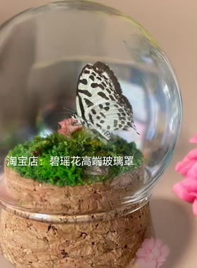 diy容器软木塞玻璃瓶桌面摆件