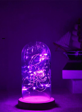 diy永生花微观防尘罩家具摆件