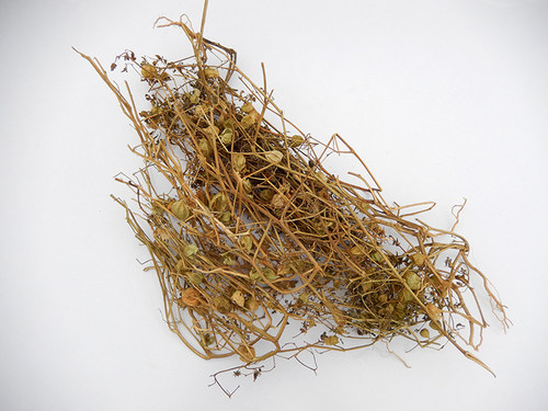 晒干灯笼草中药材打卜草 打额泡 天泡草 红姑娘果苦姑娘 黄姑娘果 - 图3