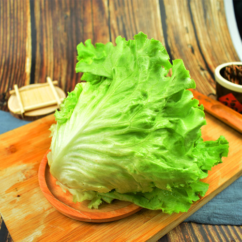 罗莎绿生菜250g 绿叶花叶生菜散叶生菜  西餐色拉沙拉蔬菜食材 - 图1