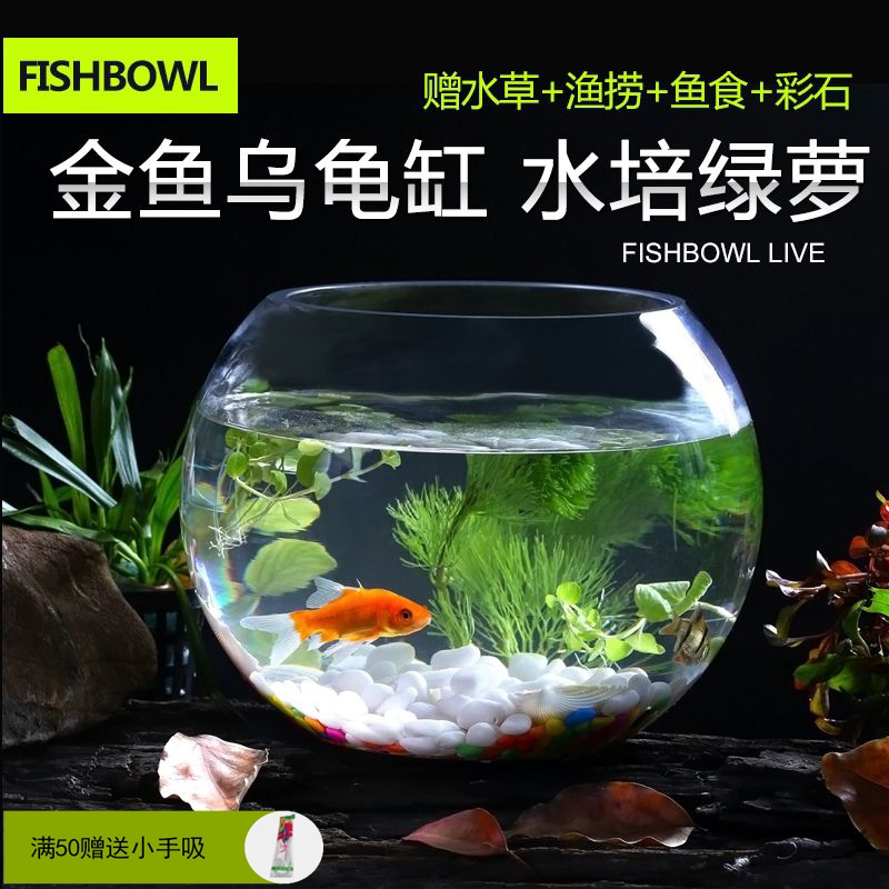 鱼缸客厅迷你水陆缸 新人首单立减十元 22年9月 淘宝海外