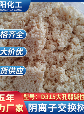 厂家直销大孔吸附树脂D315大孔吸附树脂型号齐全量大从优