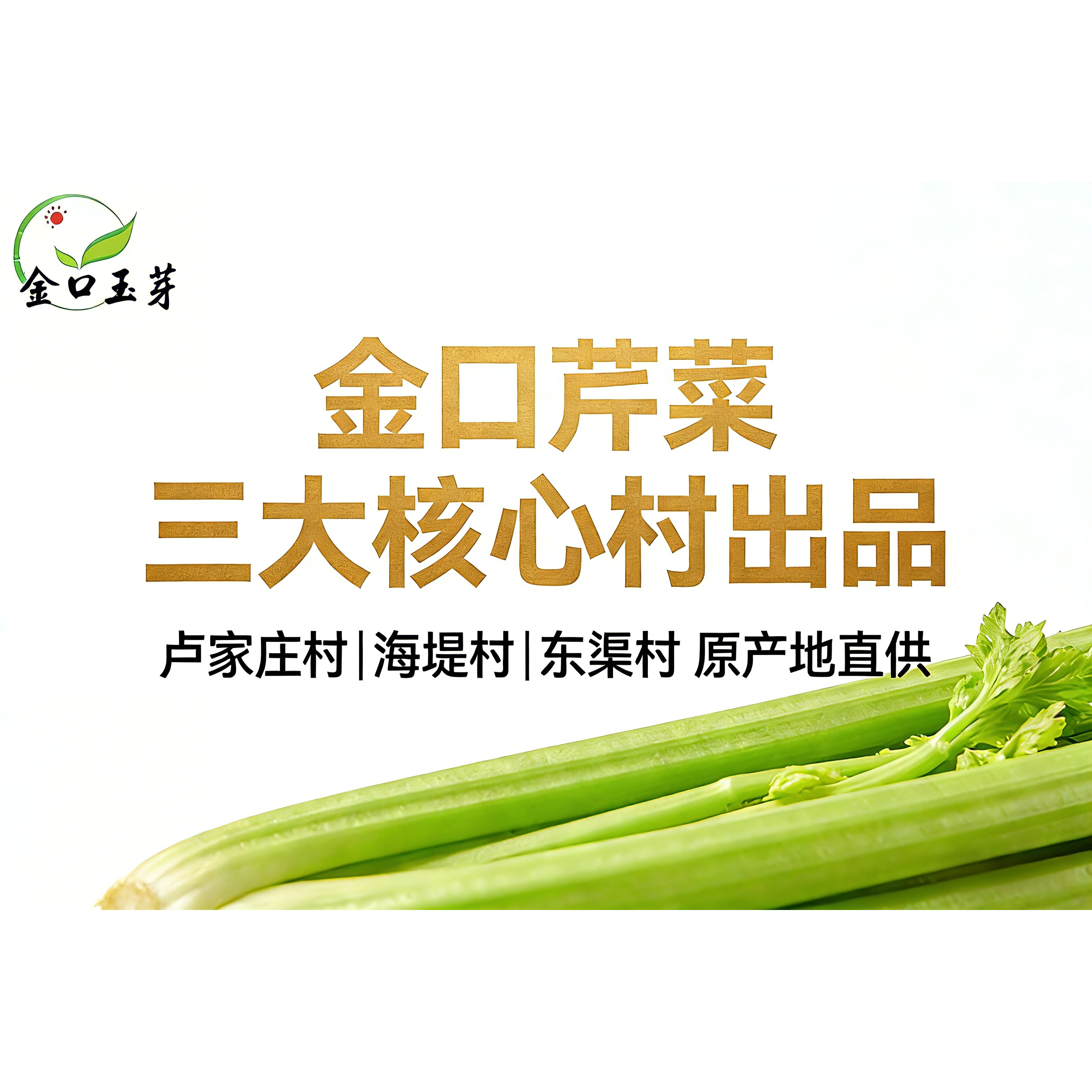 山东青岛特产新鲜蔬菜金口芹菜嫩芯实心芹菜脆甜味浓卢家庄村发货